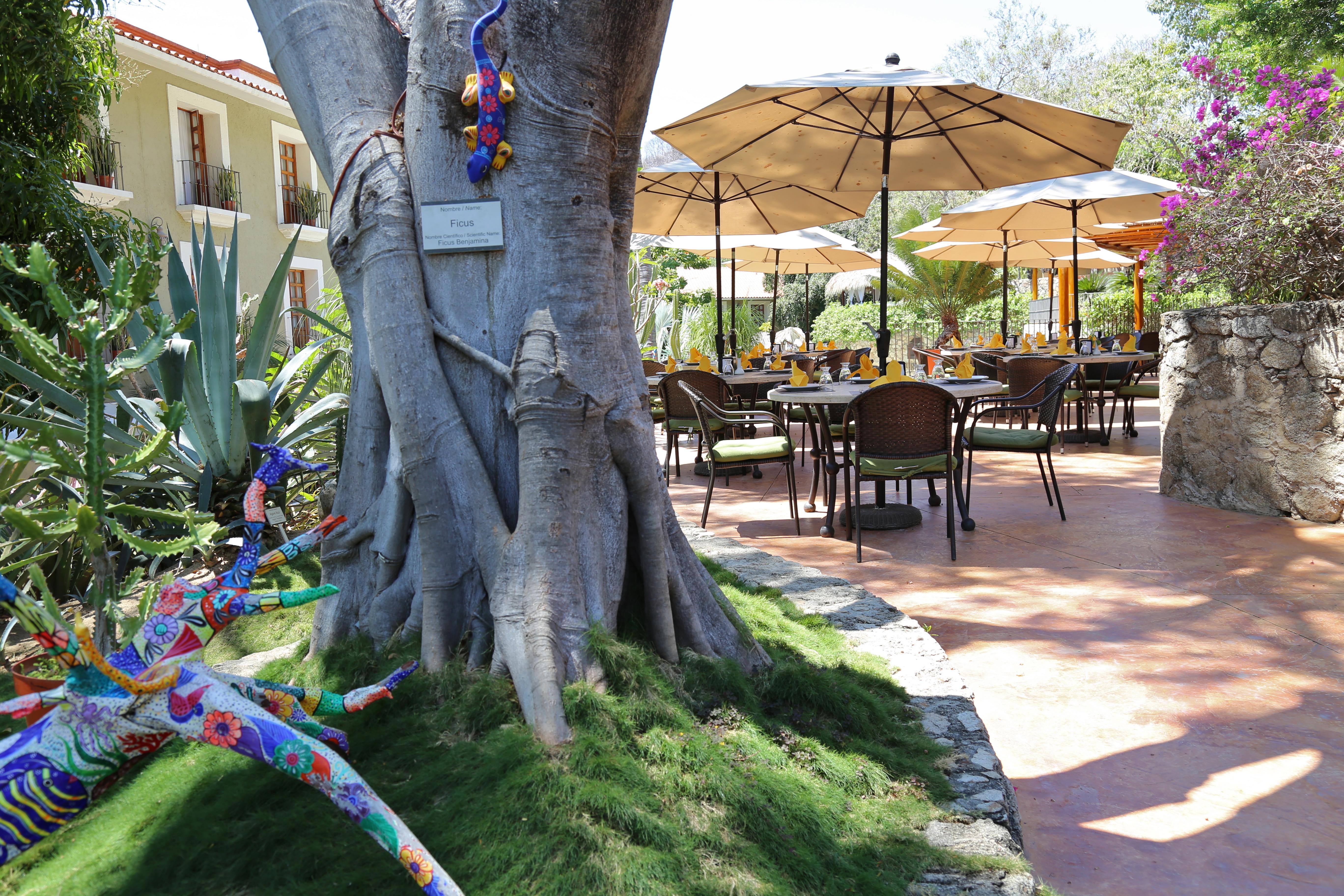 Binniguenda Huatulco & Beach Club 외부 사진